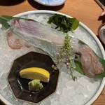 博多もつ鍋 前田屋 総本店 - 