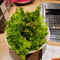 横浜焼肉kintan - 