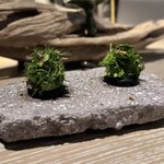 apothéose - ◉野菜のアミューズ(炭のブリニ)