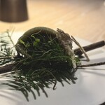 apothéose - ◉森の香るピタ
      七谷鴨のつくね/山葡萄新芽の天ぷら/カキドオシ/香り舞茸/葉山椒オイル