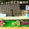 あこおぎ葡萄園