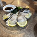 炭火串焼きと旬野菜 きわみ - 