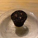 LURRA° - 