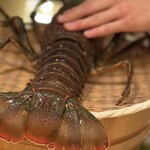 御料理 まつ山 - 