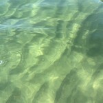 坂本屋　瑠璃亭 - 