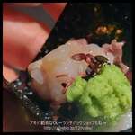 佐賀牛 Sagaya 銀座 - 