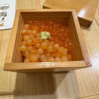 鮨　まつ本 - 半熟いくら