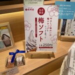 梅菓子本舗松野屋 - 