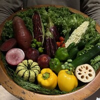 レフェルヴェソンス - 