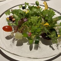 レフェルヴェソンス - 