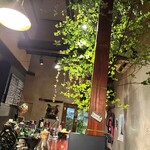 サルヴァドール - 