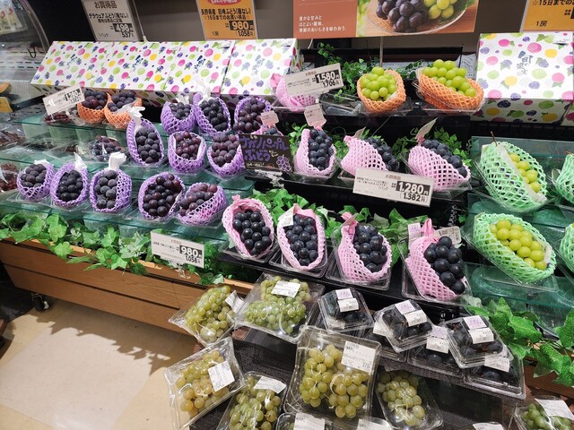 ヨークベニマル 本宮インター店 - 五百川（コンビニ・スーパー）の写真