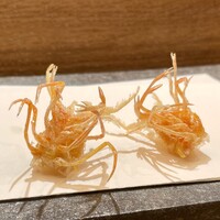 天 よこた - 巻海老 脚