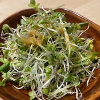 焼鳥 くまわき - サラダ　豆苗などの新芽のサラダ