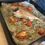 anchoa - 