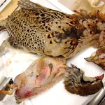 Fiorenza - 狩猟期間は野鳥料理も