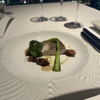 XEX TOKYO / Salvatore Cuomo Bros. - 