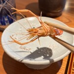 日本料理 別府 廣門 - 