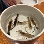 日本料理 別府 廣門 - 