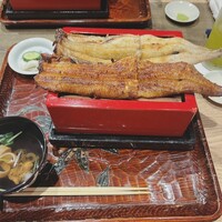 にょろ助 銀座 - 