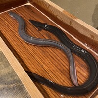 にょろ助 銀座 - 