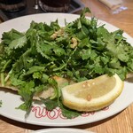 餃子といえば芭莉龍 - 