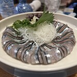 魚将　さかなちゃん - 