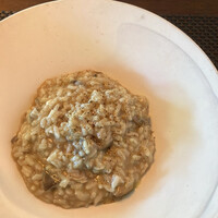 タケル クインディチ(LOQUAT) 西伊豆 - 