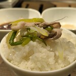 熟成焼肉 マルニク - のっけ飯