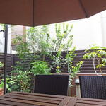 Orange Fields Tea Garden - 