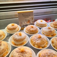 スプレンディード - 