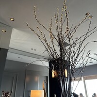 ROTISSERIE★BLUE -  ROTISSERIE★BLUE -