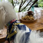 ピズモカフェ - 