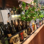 サガノサカバ - 