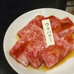 263968445 - ウチハラミ