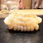 あま木 - 追加（相方のみ）　新イカのゲソ