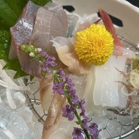 味処 高崎 - お刺身盛り合わせ
