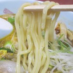めん屋武蔵 - ストレート太麺