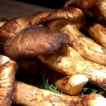 USHIGORO S. - 雲南省産松茸