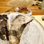 シカゴ - ●前菜2
      兵庫県産岩牡蠣　ピストソースと共に