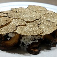 USHIGORO S. GINZA - トリュフマッシュルームサラダ