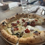 チェルト ホノボーノ - 