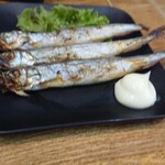 大漁船 - ししゃも