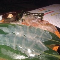 寅八商店 心斎橋店 - イカ