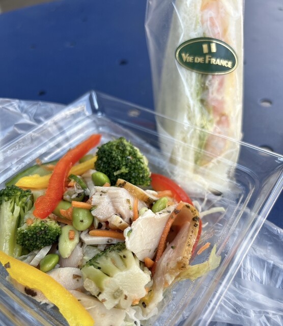 VIE DE FRANCE Sakae Chika Ten