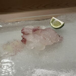 うを徳 - 利尻ひらめ刺身とすだち