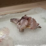 うを徳 - 淡路島の炙りさばの刺身