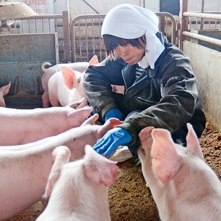 生産者「群馬県加藤農場」から直送しているブランド豚の串焼