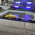 生簀屋 海 - カウンター席の目の前にある生簀(いけす)