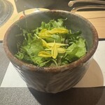 日本焼肉 はせ川 - 冷野菜　はせ川厳選　早採り野菜のサラダ